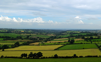Звернення голови Громадської ради до власників і орендарів  земельних ділянок, заплавних земель, сіножатей, пасовищ, земель історико-культурної спадщини України
