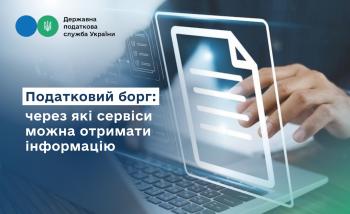 Наслідки та відповідальність фізичної особи - підприємця при виникненні податкового боргу