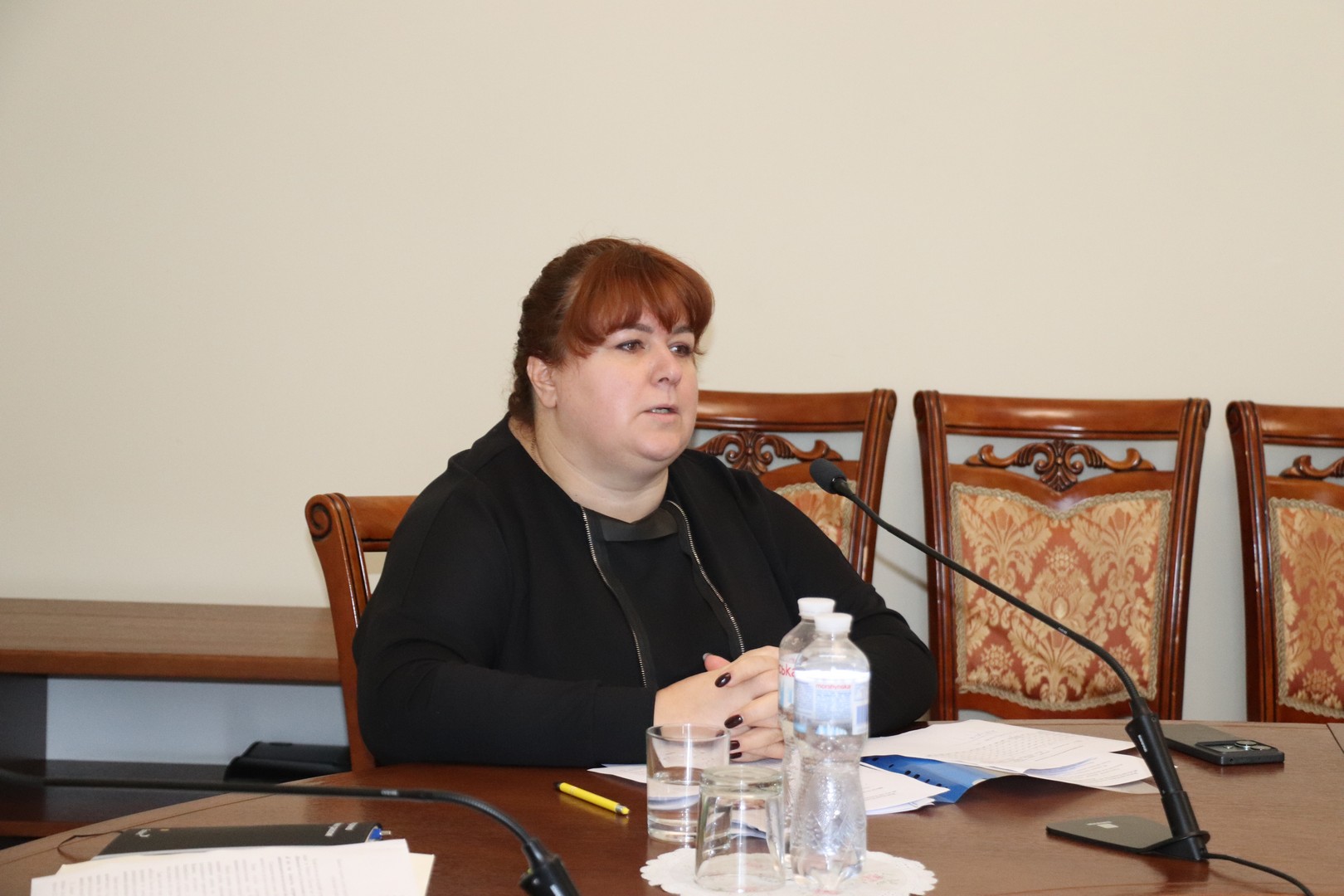 Сплата податків мобілізованими ФОПами, реєстрація волонтерської діяльності та інші питання до податкової –  на зустрічі «Діалог влади та бізнесу». Фото № 5/4