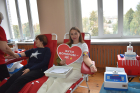 Податківці Чернігівщини вкотре долучились  до благородної справи донорства. Фото № 8/7